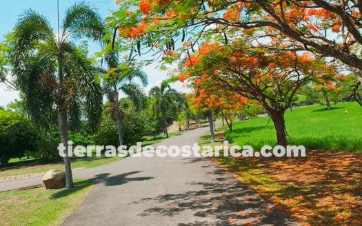 Venta de Quintas en Orotina de Alajuela, Cerca de Ruta 27